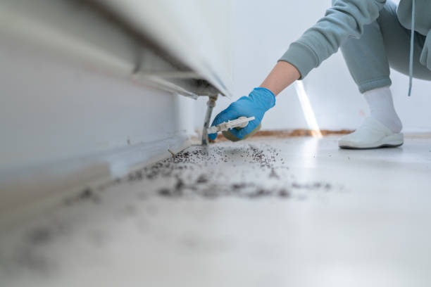 Best Pest Prevention Services  in West Point, KY