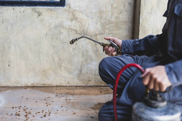 Best Wasp Removal Services  in West Point, KY